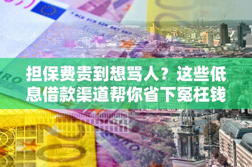 北京担保费贵到想骂人？这些低息借款渠道帮你省下冤枉钱