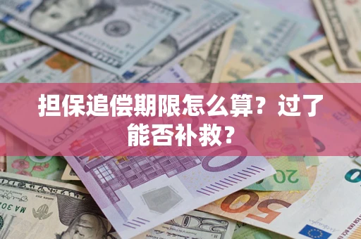 北京担保追偿期限怎么算？过了能否补救？